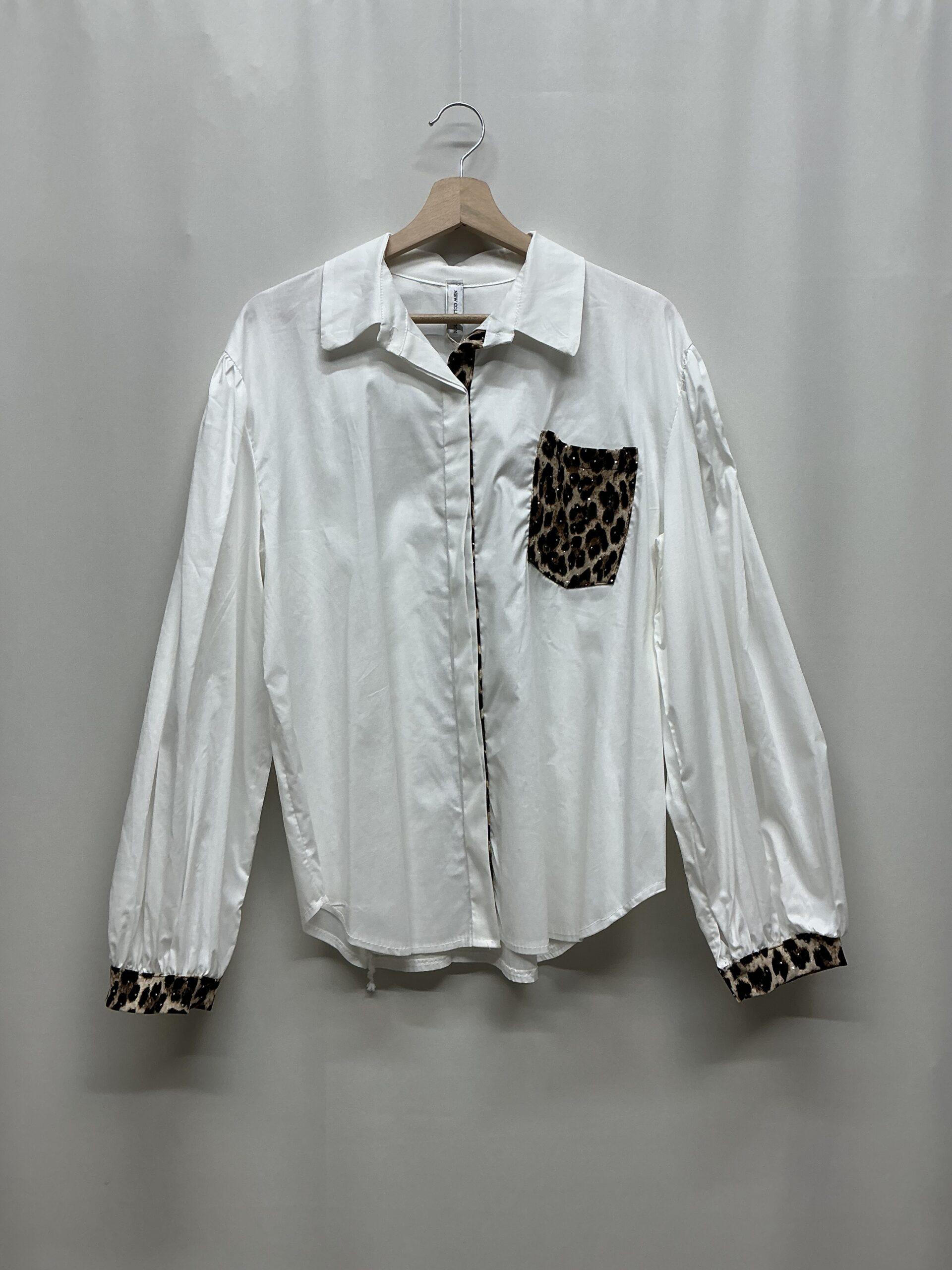 Image_20260127161327